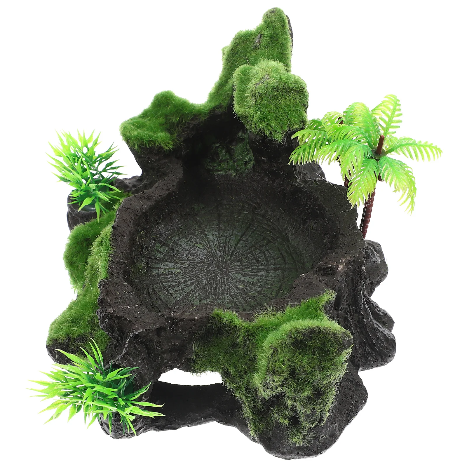 طبق تغذية الزواحف الراتنج عدم الانزلاق للسحالي القرن الضفادع تررم وعاء الماء ديكور طبيعي مقاوم للاهتراء #6