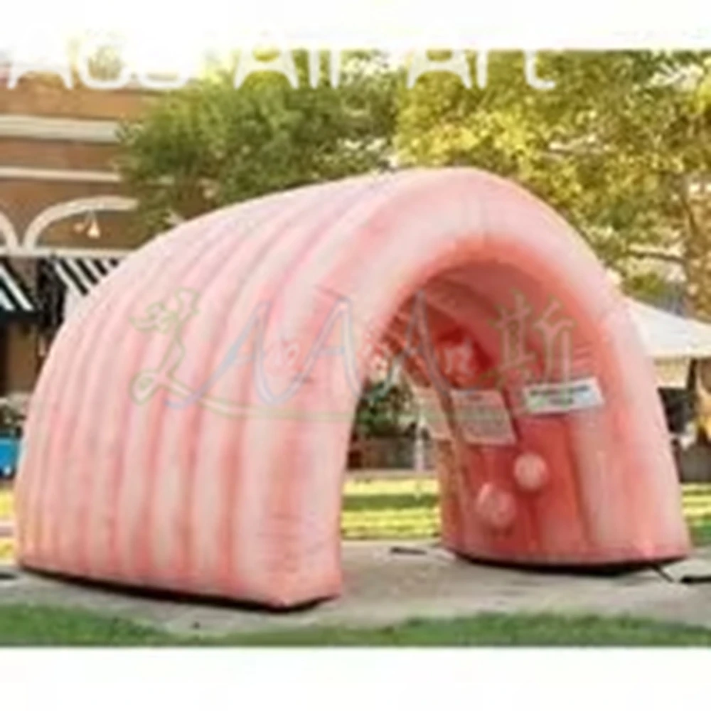 High Quality Giant 4x4x3mH Inflatable Colon For Medical Teaching Use Custom Inflatable Intestine Organ Tunnel Tent