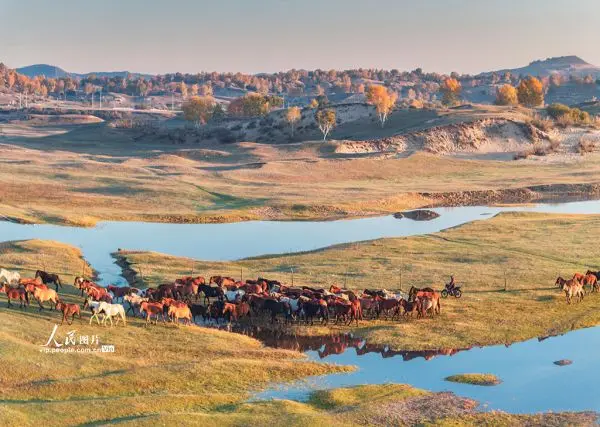 

Portal LCG Transmission with Slider Gearbox 3.5:1 Ratio Aluminum Gears for 1/10 Capra SCX10 III AR45 RC Crawler