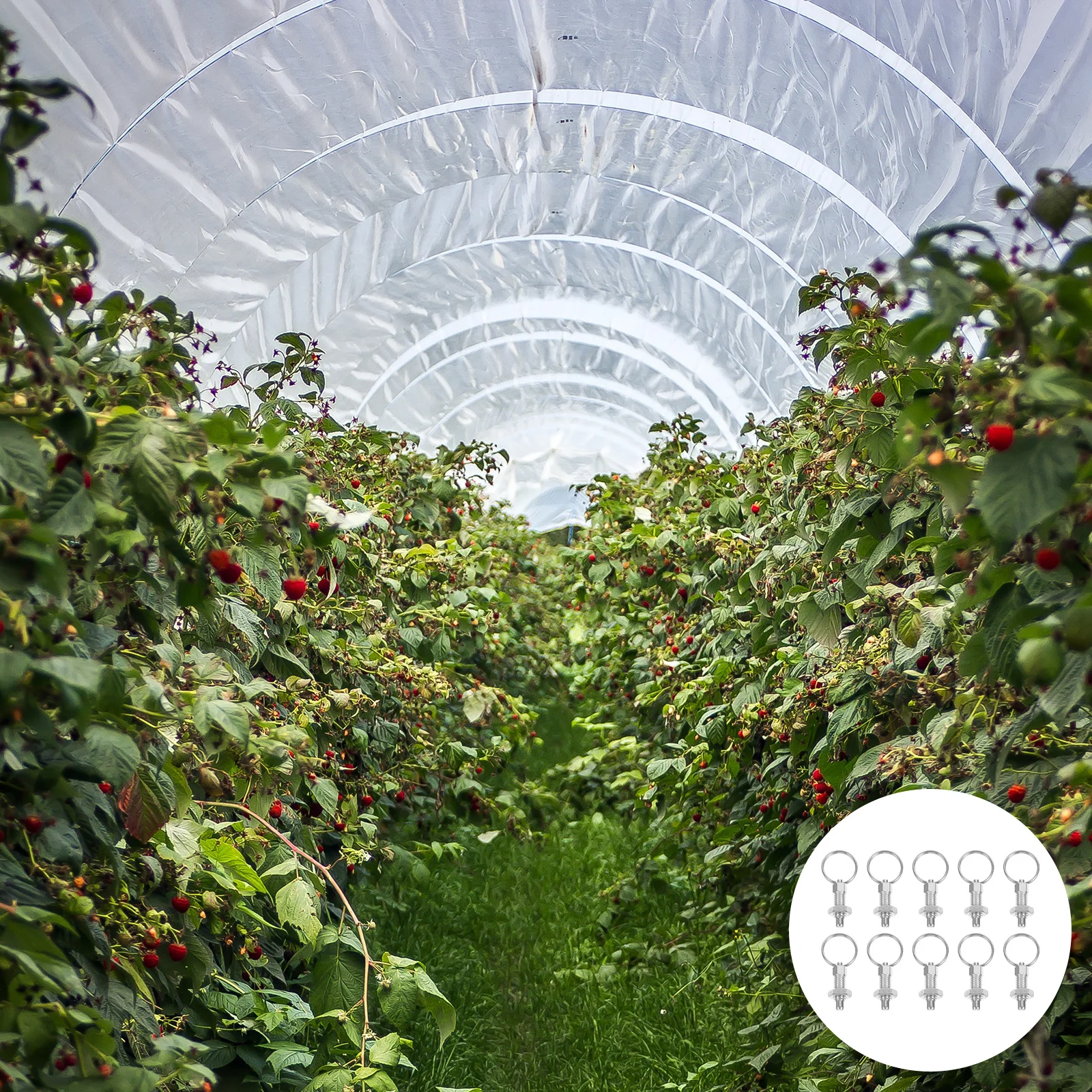 ลูกบิดล็อคอัตโนมัติ 10 ชิ้น สำหรับโรงเรือน ฟาร์ม สนามหญ้า หมุดล็อคเหล็ก ความแข็งสูง ทนทานต่อการสึกหรอ เครื่องมือกำหนดตำแหน่ง