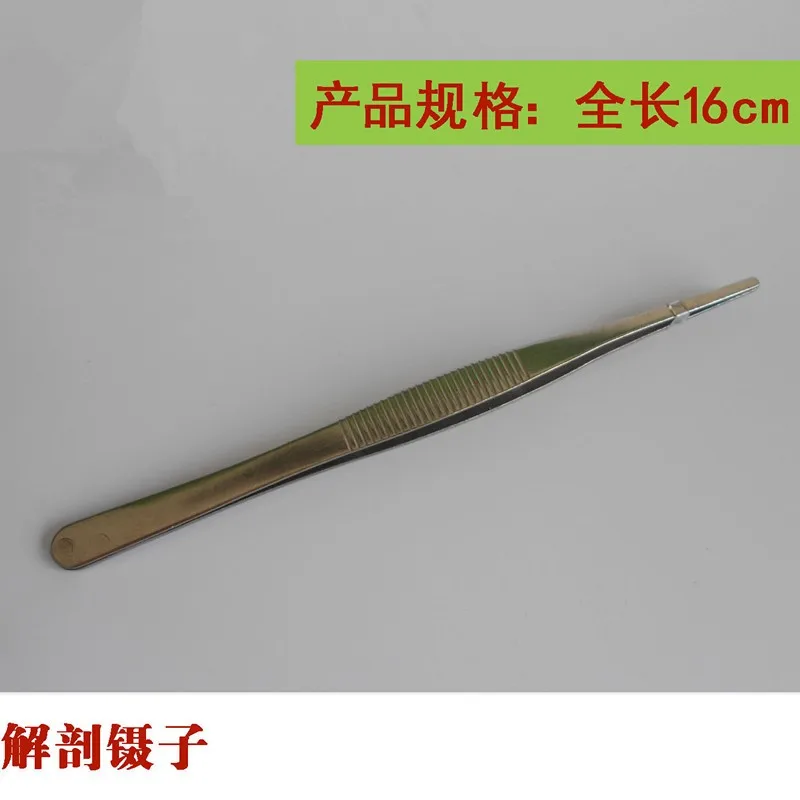 1pc dissecting forceps  Round head  Insect tweezers  Plant forceps 16cm/18cm  Biological anatomy  Teaching equipment