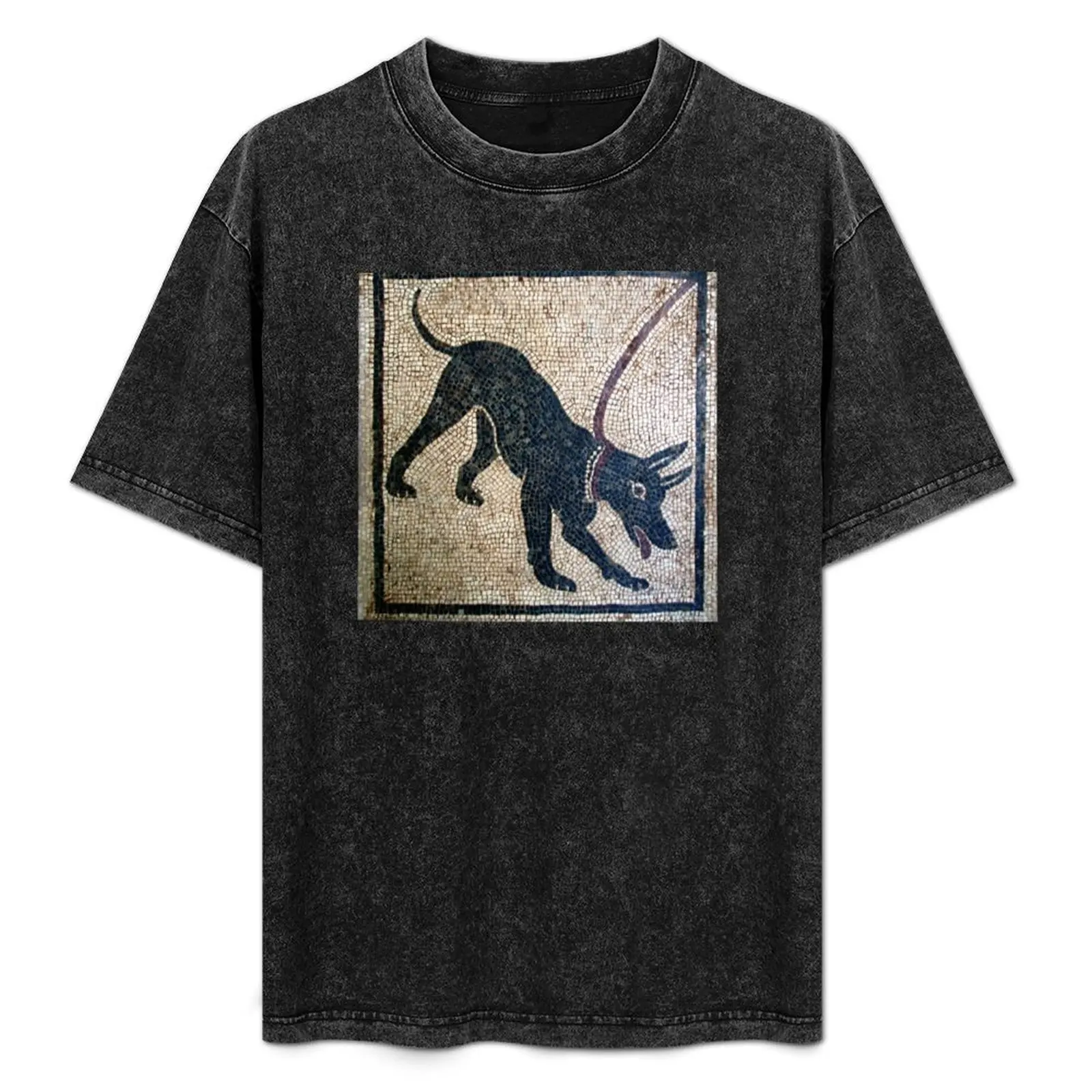 

Cave canem- ancient Pompeii T-Shirt Graphic Print Short Sleeve T-Shirt