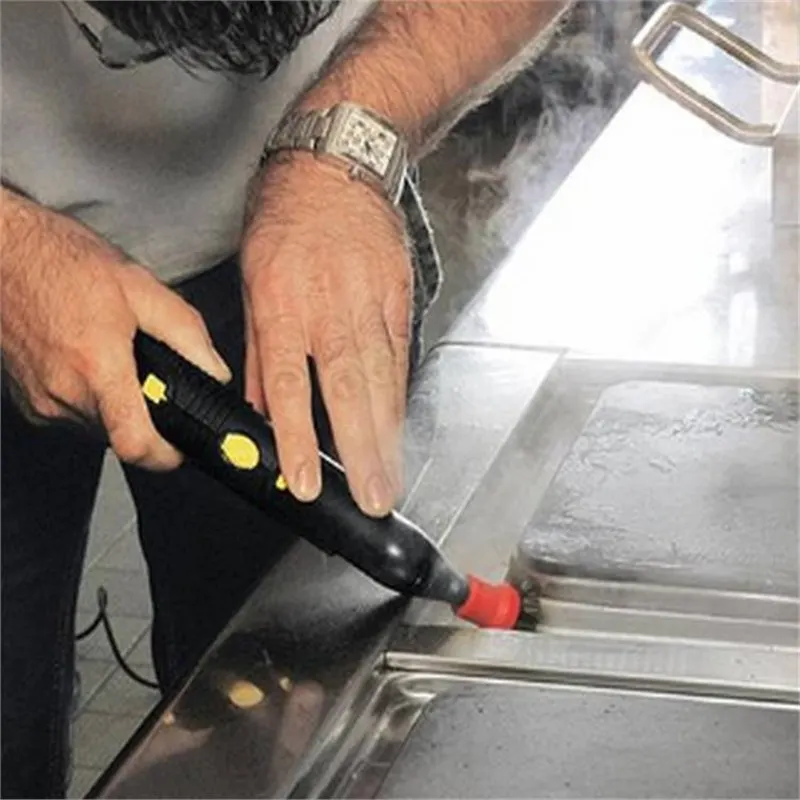 SGV 6/5 Import High-temperature Steam Cleaner