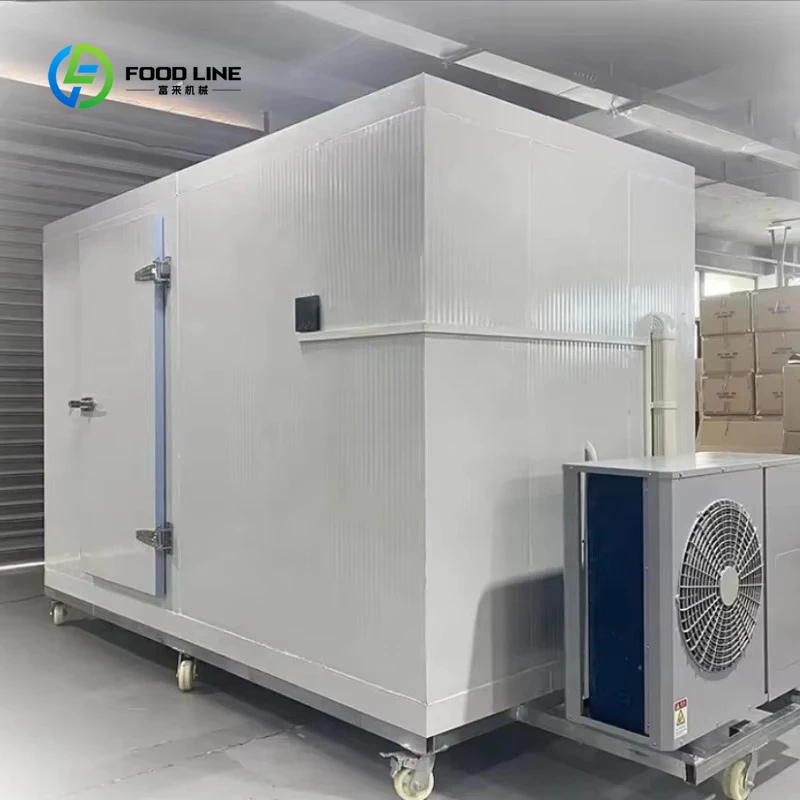 Customized Good Quality Negative Cold Room Price Walk in Freezer Cold Storage Room