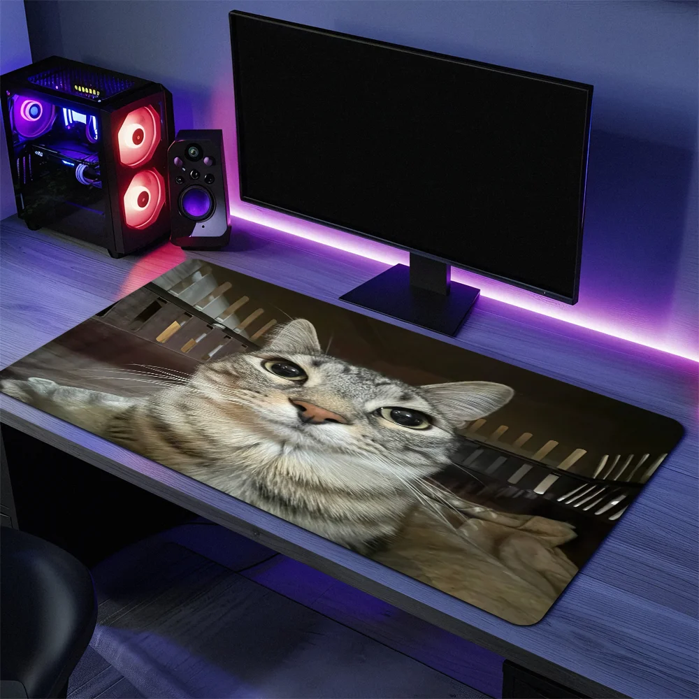 Thumbnail 3 - #30 New Mouse Wrist Rests Arrivals