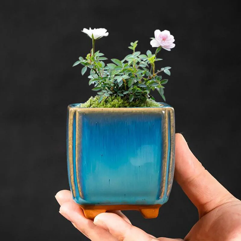 Modern Style Blue Glazed Porcelain Succulent Plant Pot Flowerpot With A Hole Ceramic Crafts Home Garden Decor