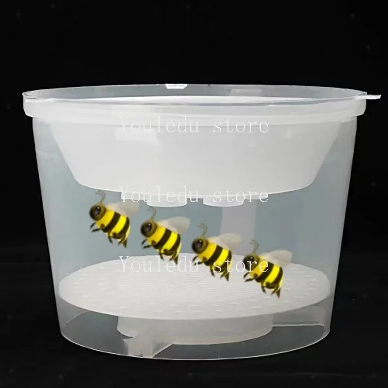 Bee Tools Hornet Trapper Fly Bug Catching Traps Wasp Catcher Hanging on Tree Insectary Box Bees and Beekeeping Equipment