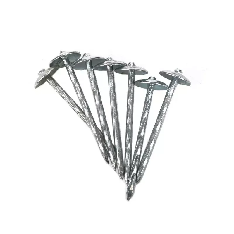 

Umbrella Head Corrugated Nails Galvanized Twisted Shank Roofing Nail