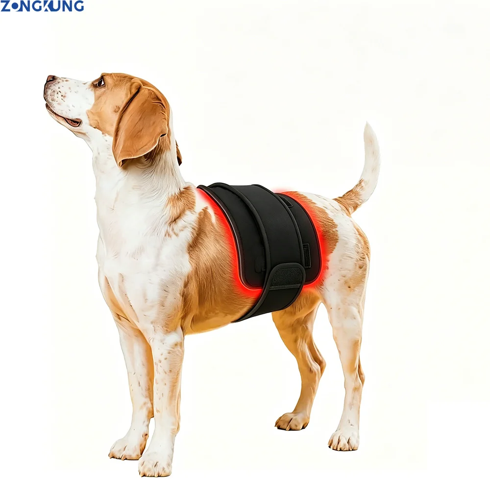 professional-veterinary-light-therapy-mat-660nm-850nm-red-infrared-for-pet-arthritis-joint-pain-and-skin-health