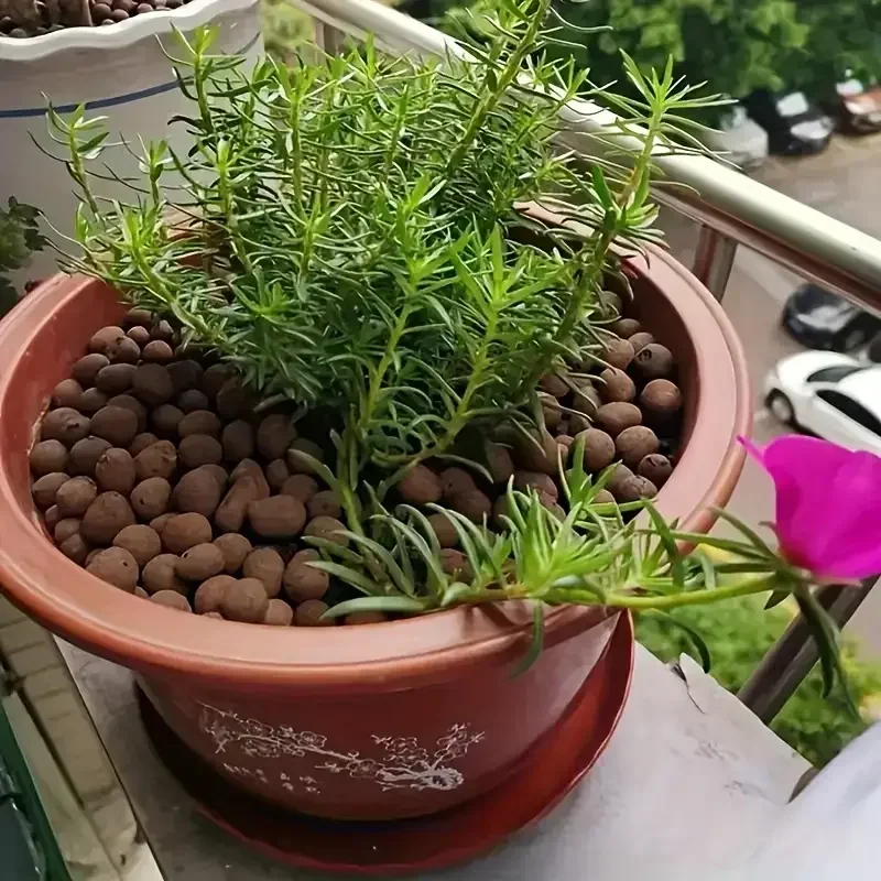 500 g/paquete de guijarros de arcilla expandida hidropónica para jardín, bolas de arcilla ligeras de 15mm-20mm, bolas de arcilla Natural, medios de cultivo para hidropónico