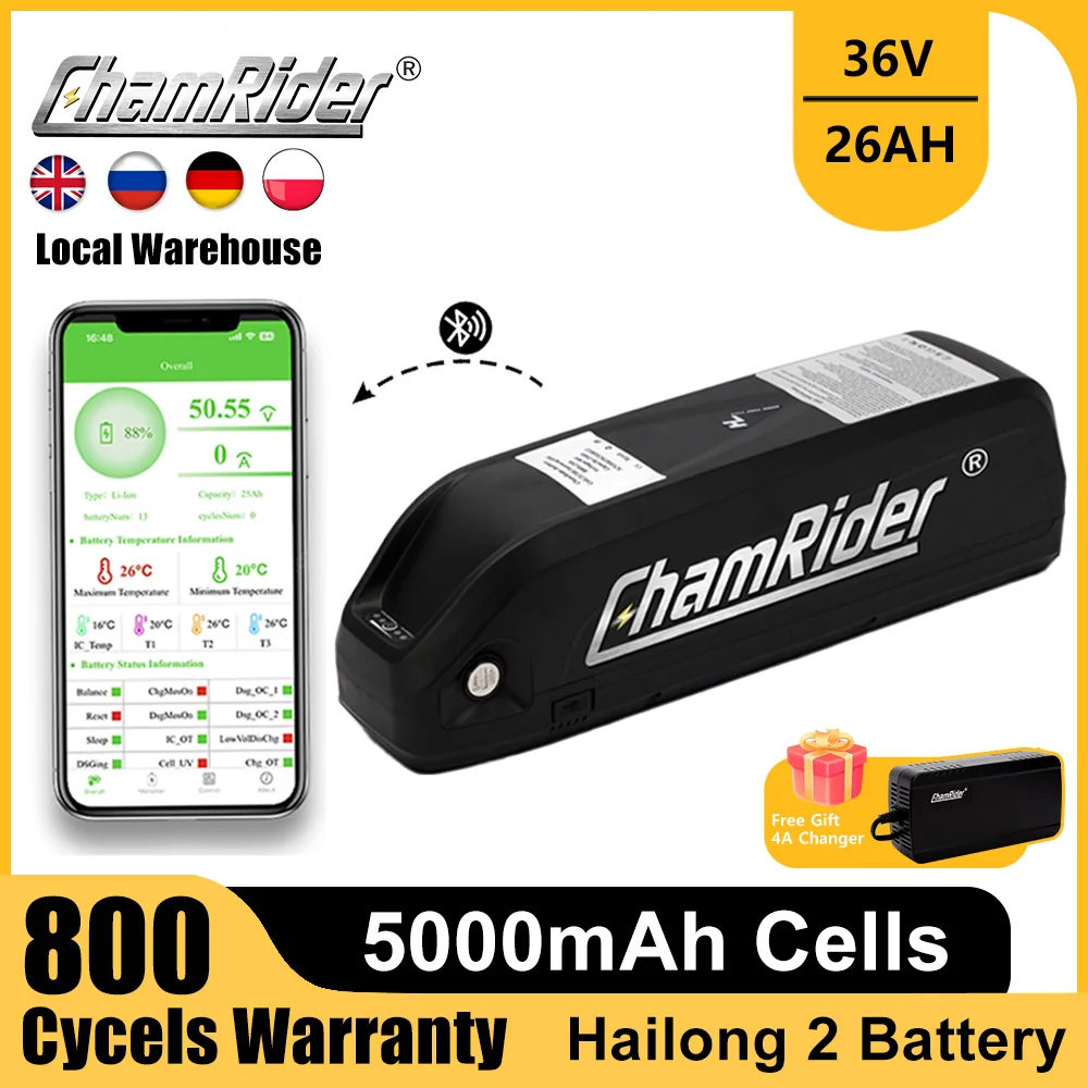 Ebike Battery Hailong 2 36V 25AH ChamRider Original Battery 30A BMS 250W 500W 21700 Cell