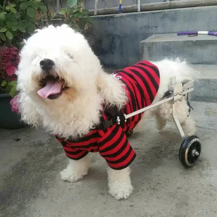 Hind Leg Auxiliary Small Medium Dog Wheelchair Pet Walking Wheelchair Disabled For Pet