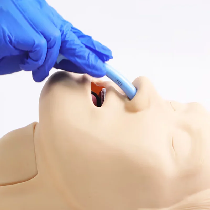 Modèle de formation à la gestion des voies respiratoires, ventilation nasopharyngée, simulateur d'intubation trachéale et de cricothyrotomie pour la pratique