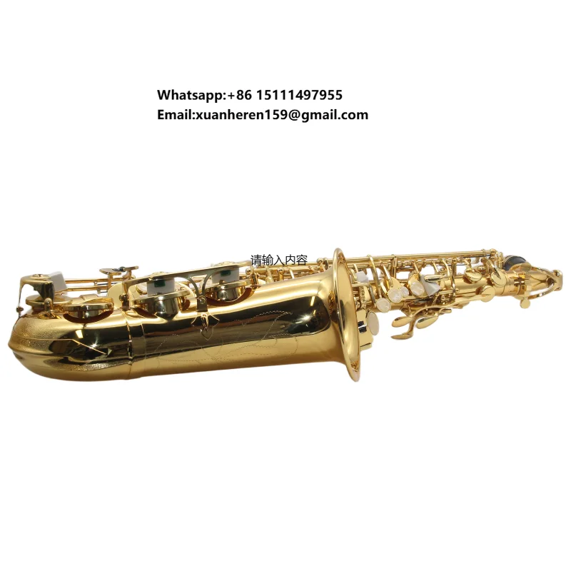 Wholesale OEM ODM Professional Gold Brass Alto Eb Key Saxophone Musical Instrument with Accessory Set