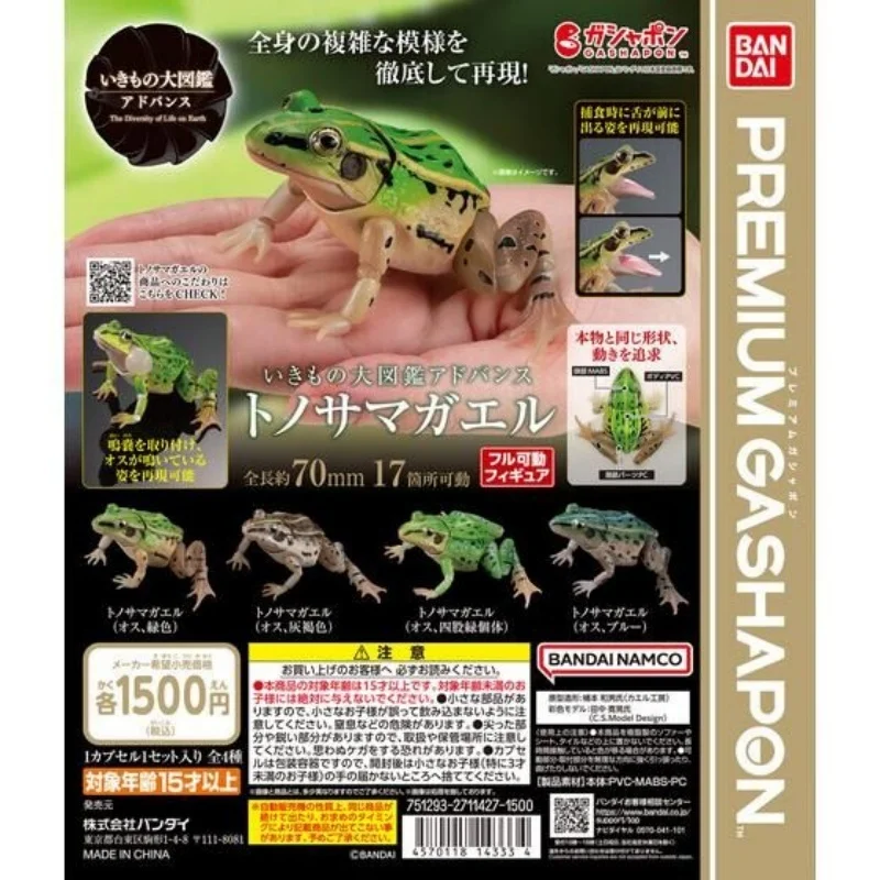BANDAI Gashapon oficial realista de rana manchada negra, modelo Animal de ciencia natural, abalorio educativo con licencia coleccionable