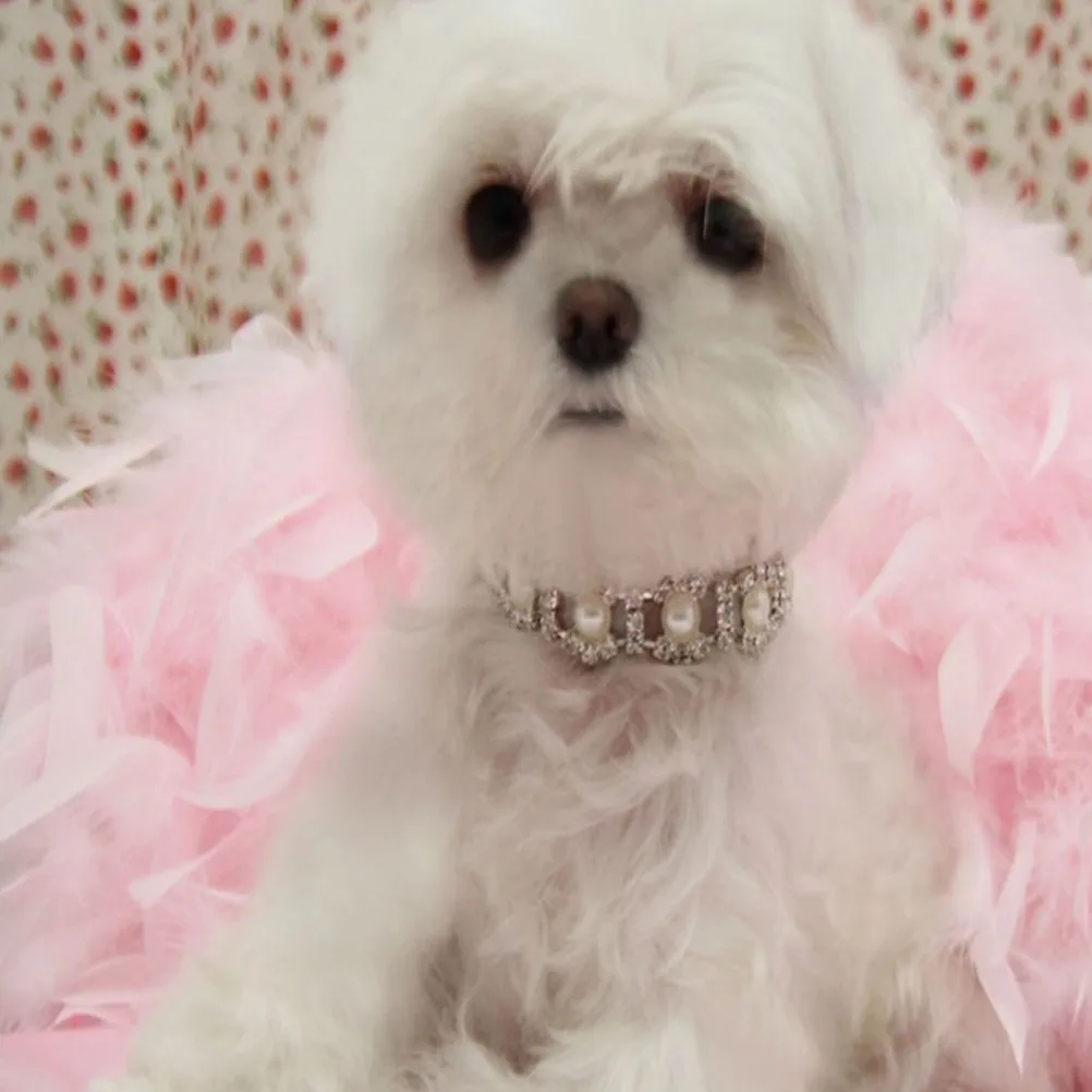 

Pearl Necklace Dog Pendant Pet Jewelry Attractive Chain Accessories Decoration Crystal Neckwear Props Pet Supplies