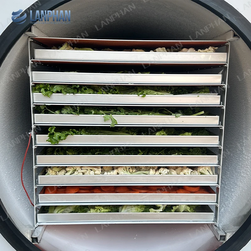 Laboratorio Casa Grande HFD-50plus Temperatura trappola fredda -70C 18 vassoi Macchina liofilizzatrice per caffè istantaneo per alimenti 60 kg 70 kg