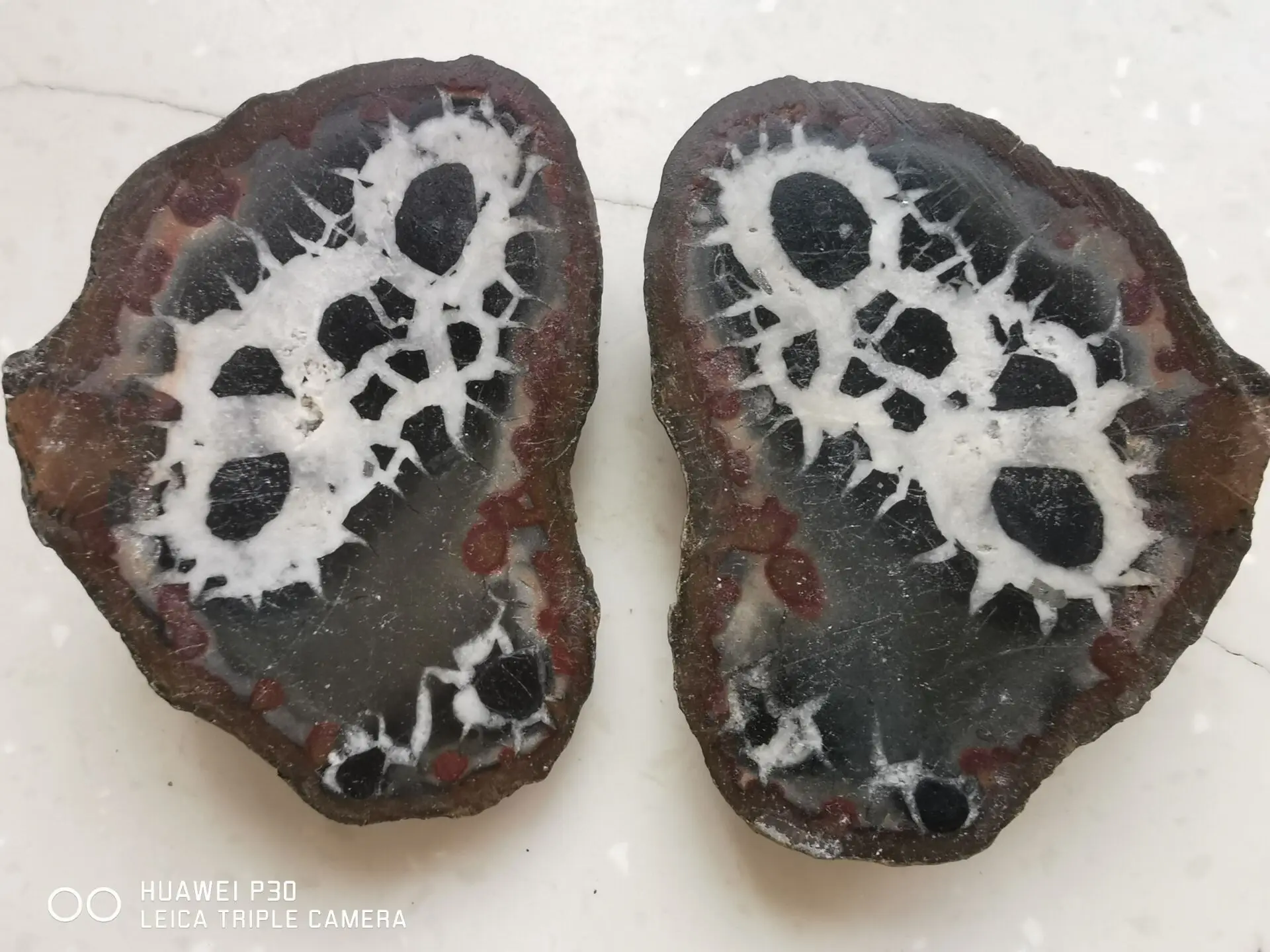 

Натуральный кристалл Марокканская черепаха Назад Камень Резка Кварц Энергетический дух