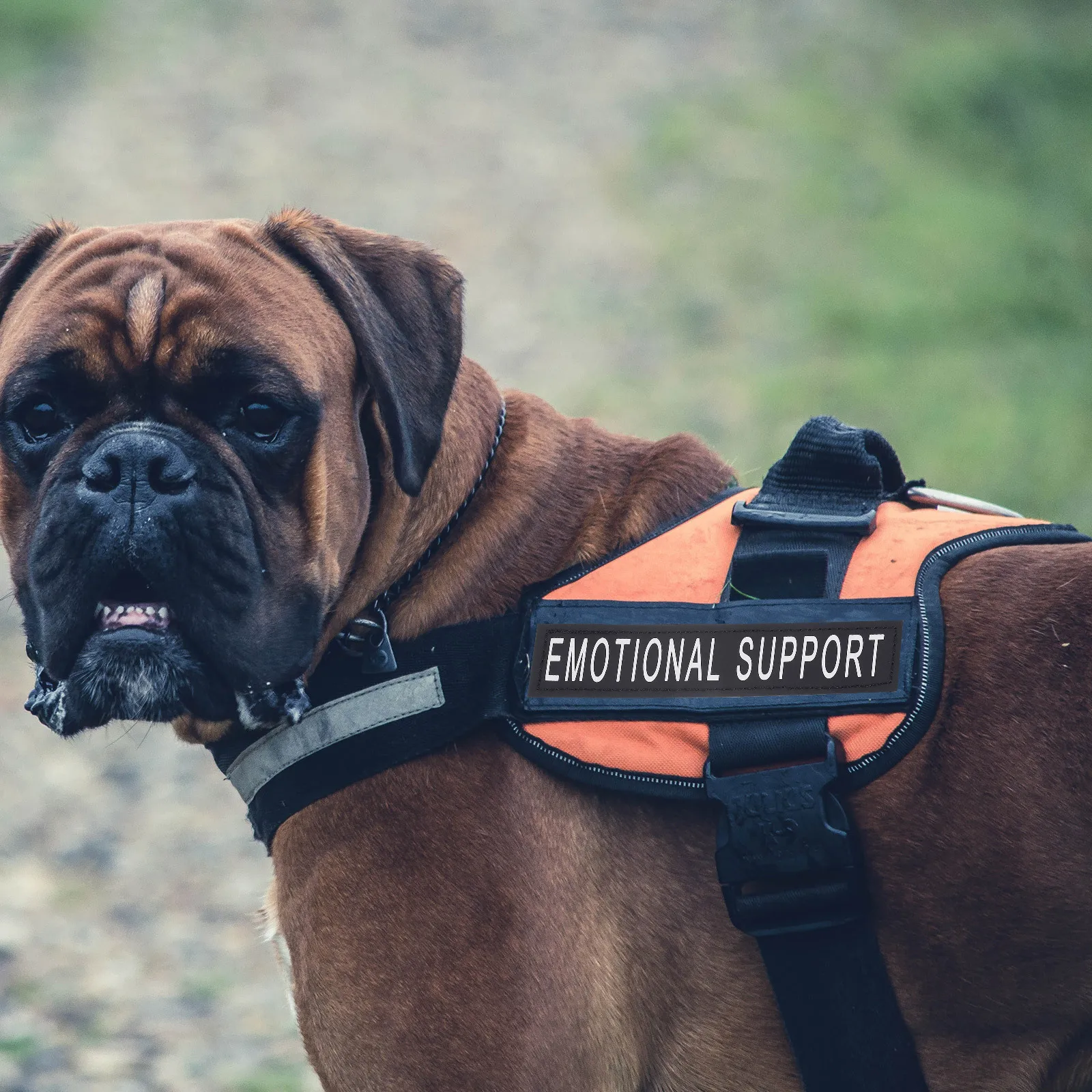 

2Pairs Pet Dog Harness Chest Strap Tape Reflective Patches Removable Self Adhesive Vest Stickers Anti Lost