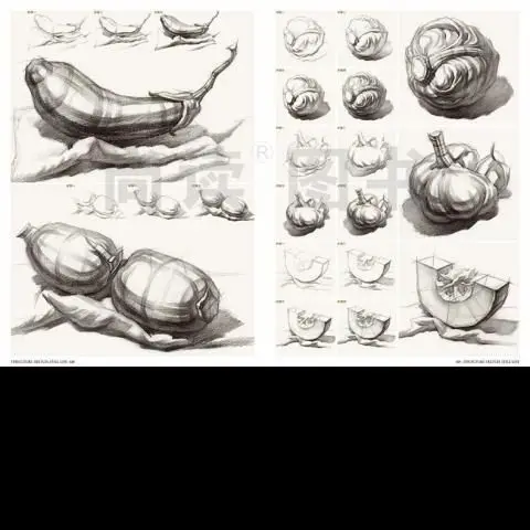 Super courseware-boceto de estructura 2,0, libro de estructura de técnica de vida tranquila, Zheng Naiqi