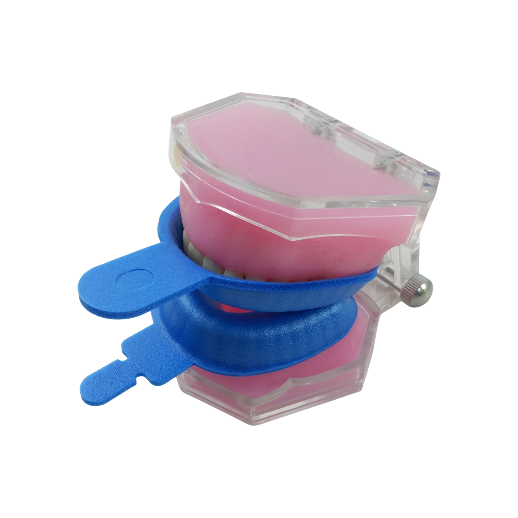 10/50pc Pairs Dental Disposable Tray Fluoride Foam Impression Trays Dentistry Instrument Dentist Materials for Dental Clinics ﻿