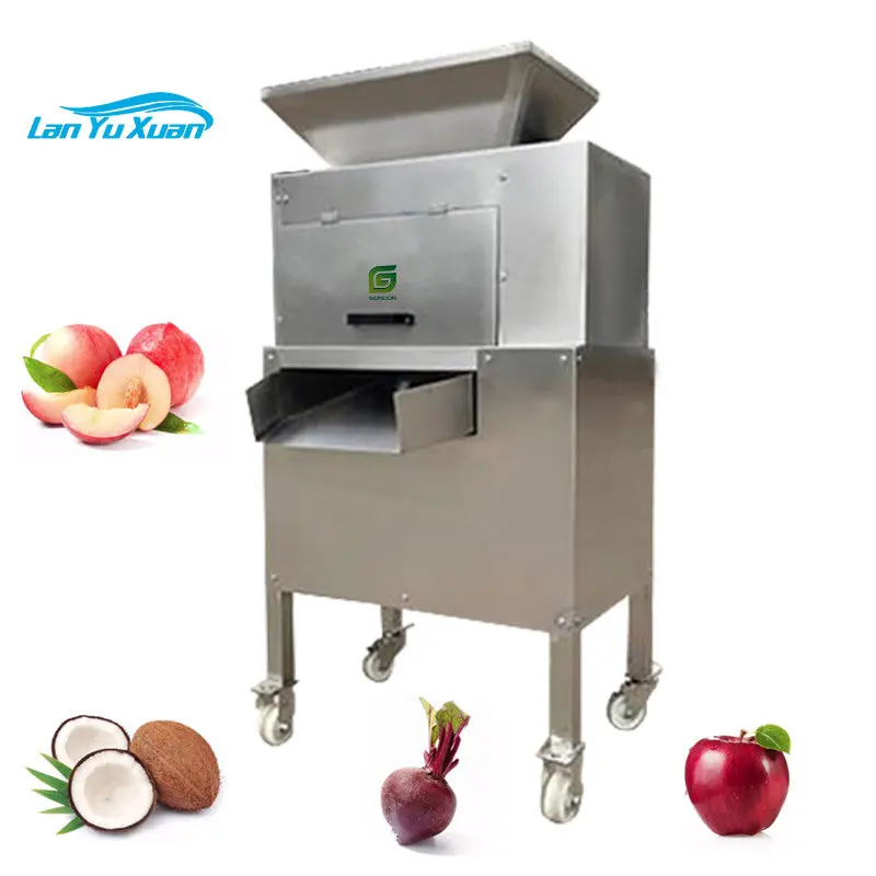 Make Beet Fruit Juicer Extractor Screw Pulp Coconut Milk Peach Ginger Extract  Juice Press Machine