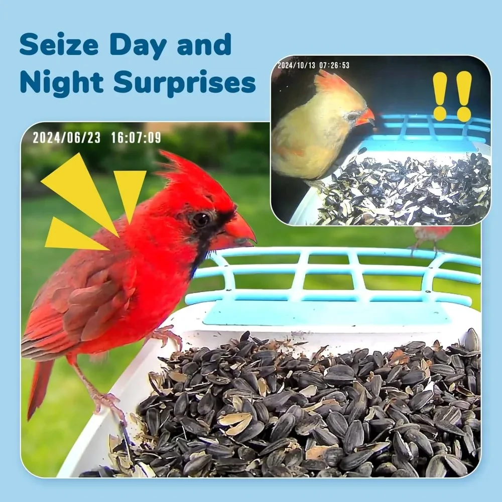 Bird Feeder with Camera, 1080P HD Bird Video Capture, 5000mAh Battery with Solar Panel, Instant Arrival Alerts, Live View