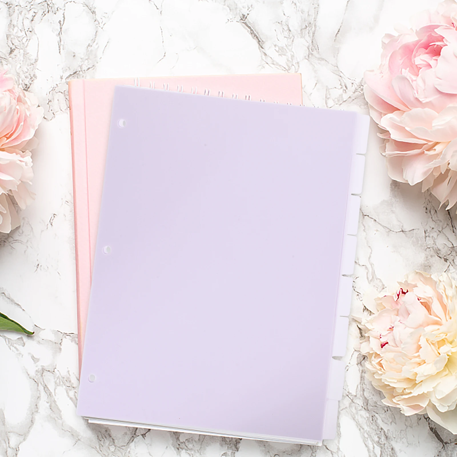 

8pcs Partition Plate Dividers Colored Frosted PP Tabs A4 Binder Notebook Page Markers Organizers Loose Leaf Planners