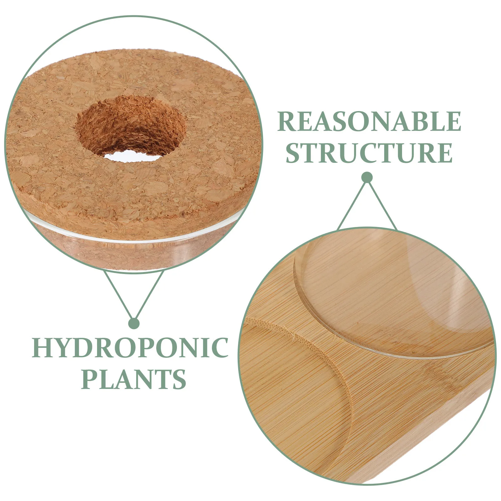 

3 Glass Planters Bamboo St Hydroponic Vase Indoor Plants Terrarium Flowerpot Water Bulb Decor High Borosilicate Smooth Surface