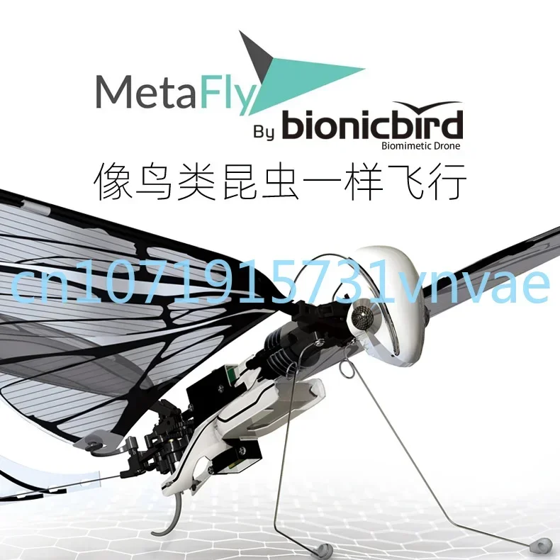 French Bionicbird | Metafly Bionic Mechanical Insect Aircraft Experience Free Flight