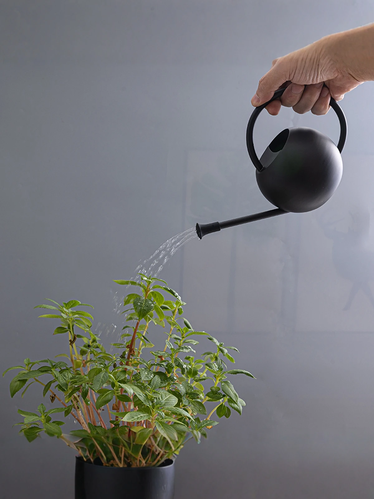 

Лейка-опрыскиватель из нержавеющей стали для растений, ретро-черная, с высоким эстетическим качеством, для домашнего использования, садовый инструмент