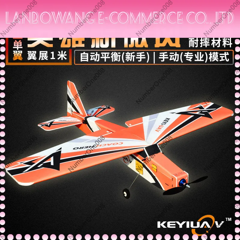 New Breeze PP Foam Durable Fixed-Wing RC Plane for Beginner MC6C Self-Stabilizing Balance Trainer