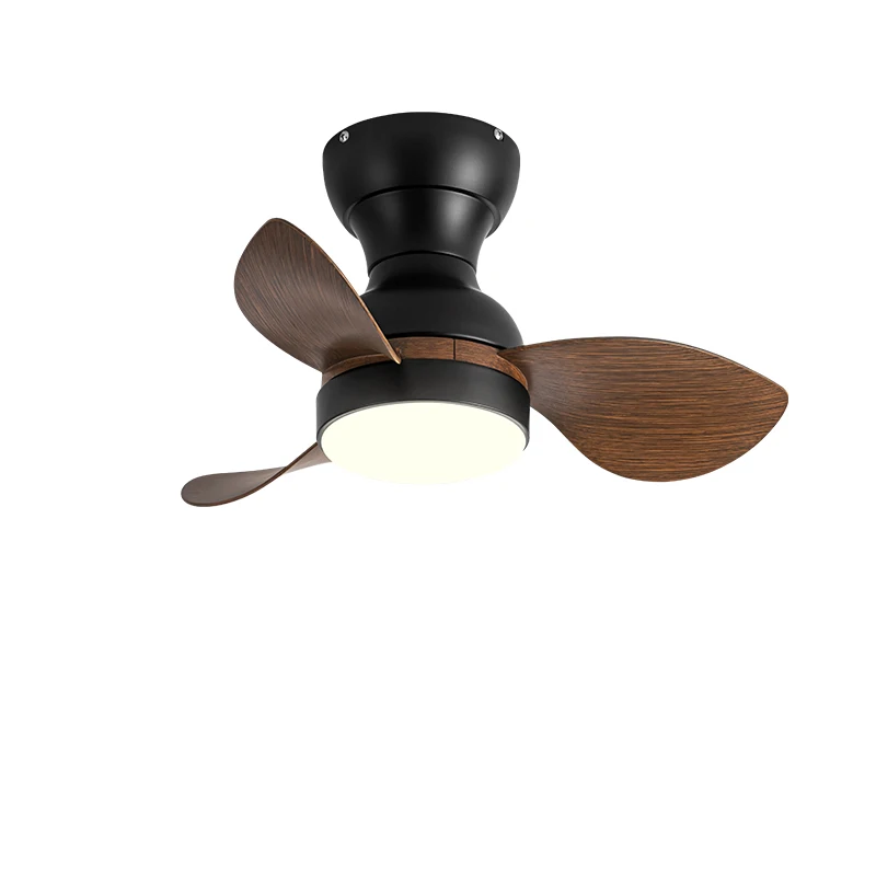 

22Inch Modern Ceiling fan with light Balcony Aisle The Study Kindergarten Electric Fan Used in the dining room 110v 220V