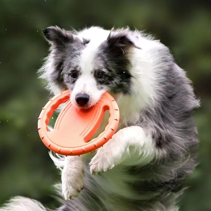 Disco Volador Resistente para Perros, Juguete para Entrenamiento, Frisbee Resistente a Mordidas, Juego Interactivo al Aire Libre para Cachorros, Suministros para Perros Medianos y Grandes