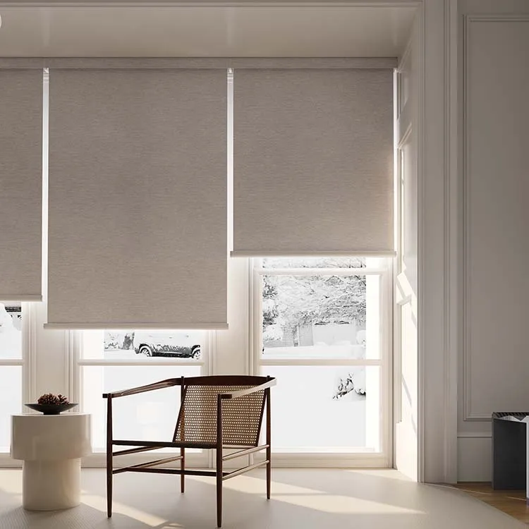 

Modern Design Smart Electric Cordless 28mm Flat Roller Blind WiFi Control Customizable Built-in Eco-Friendly French Office