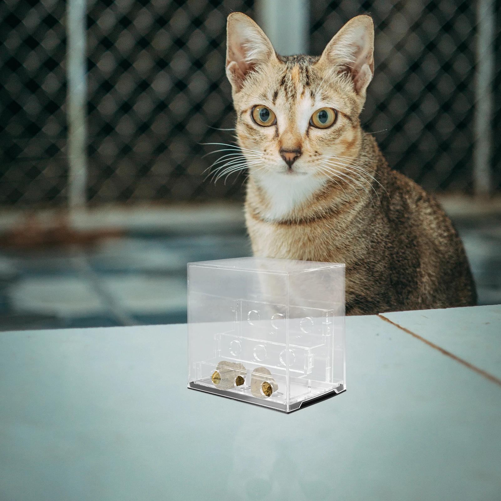 

Clear Specimen Display Box Acrylic Rock Collection Case Small Gemstone Storage Container Display