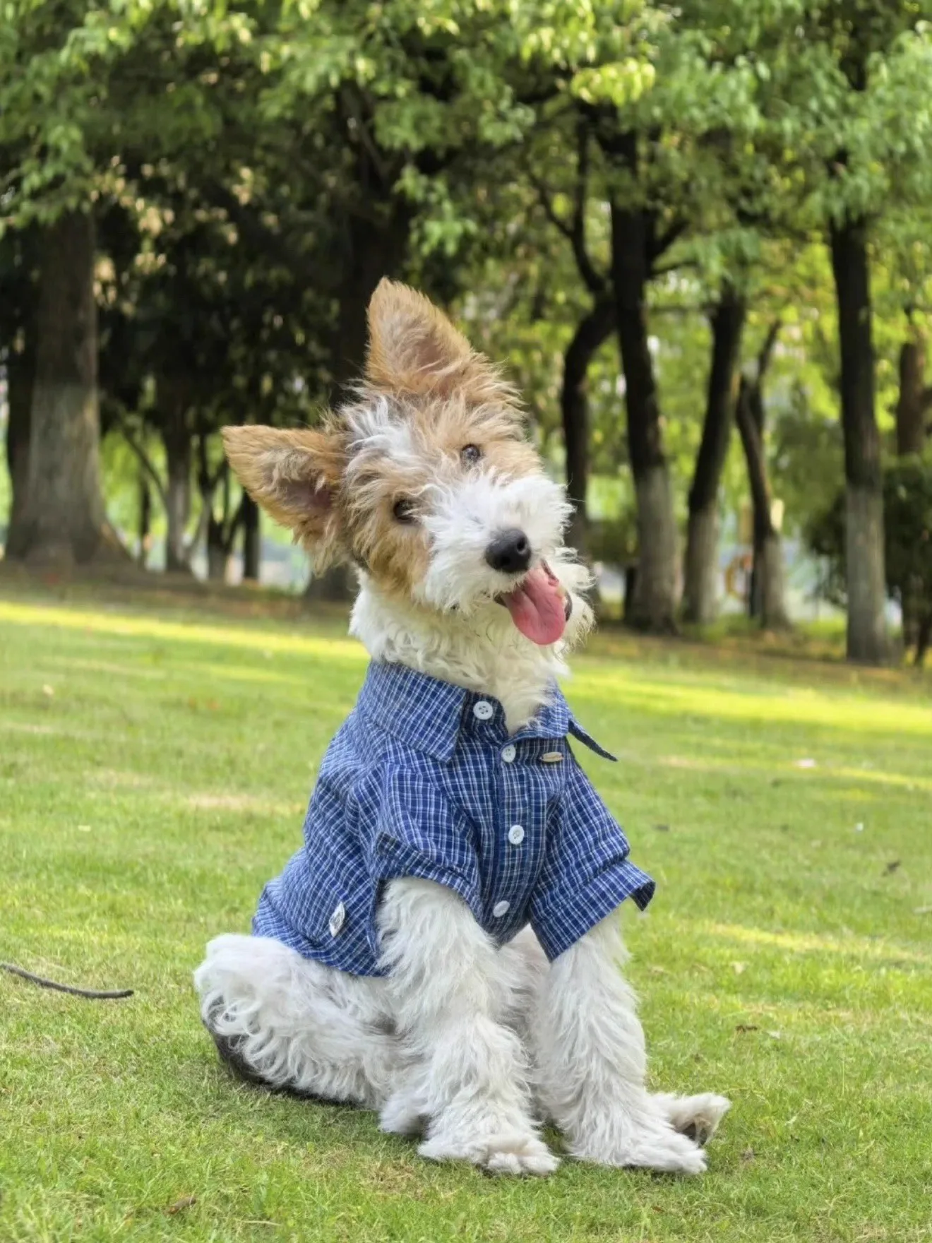 

The Stylish Gentleman'S Style Handsome Design Dog Patterned Shirt