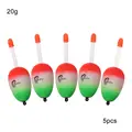 -20g