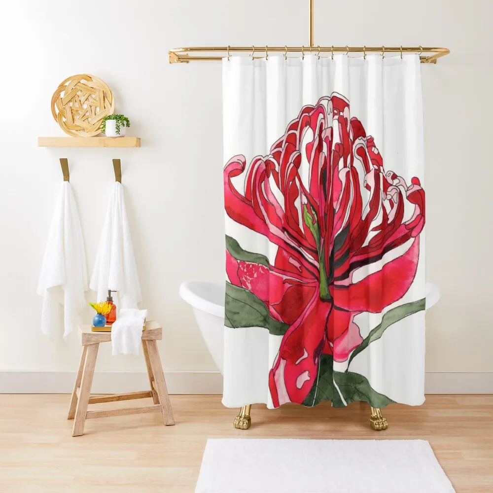 

Waratah flower red Australian Flora Shower Curtain Bathroom Shower Bathroom Shower Set For Bathrooms Curtain