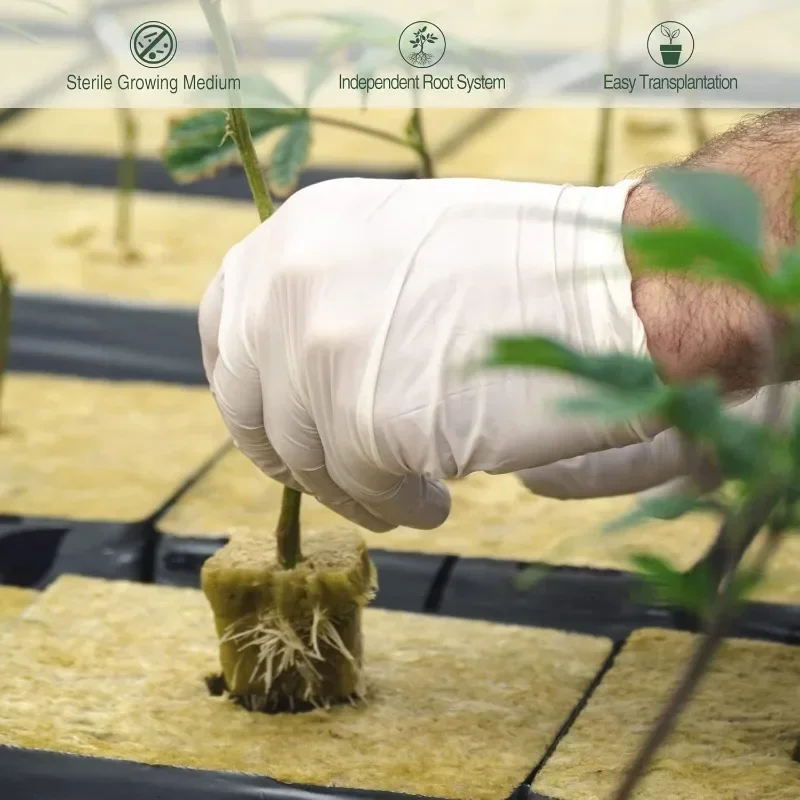 تنمو وسائل الإعلام مكعبات كتلة إسفنجية كاتب المقابس حجر المائية حديقة البذور كتلة المياه زراعة Germata ثقافة الركيزة زارع