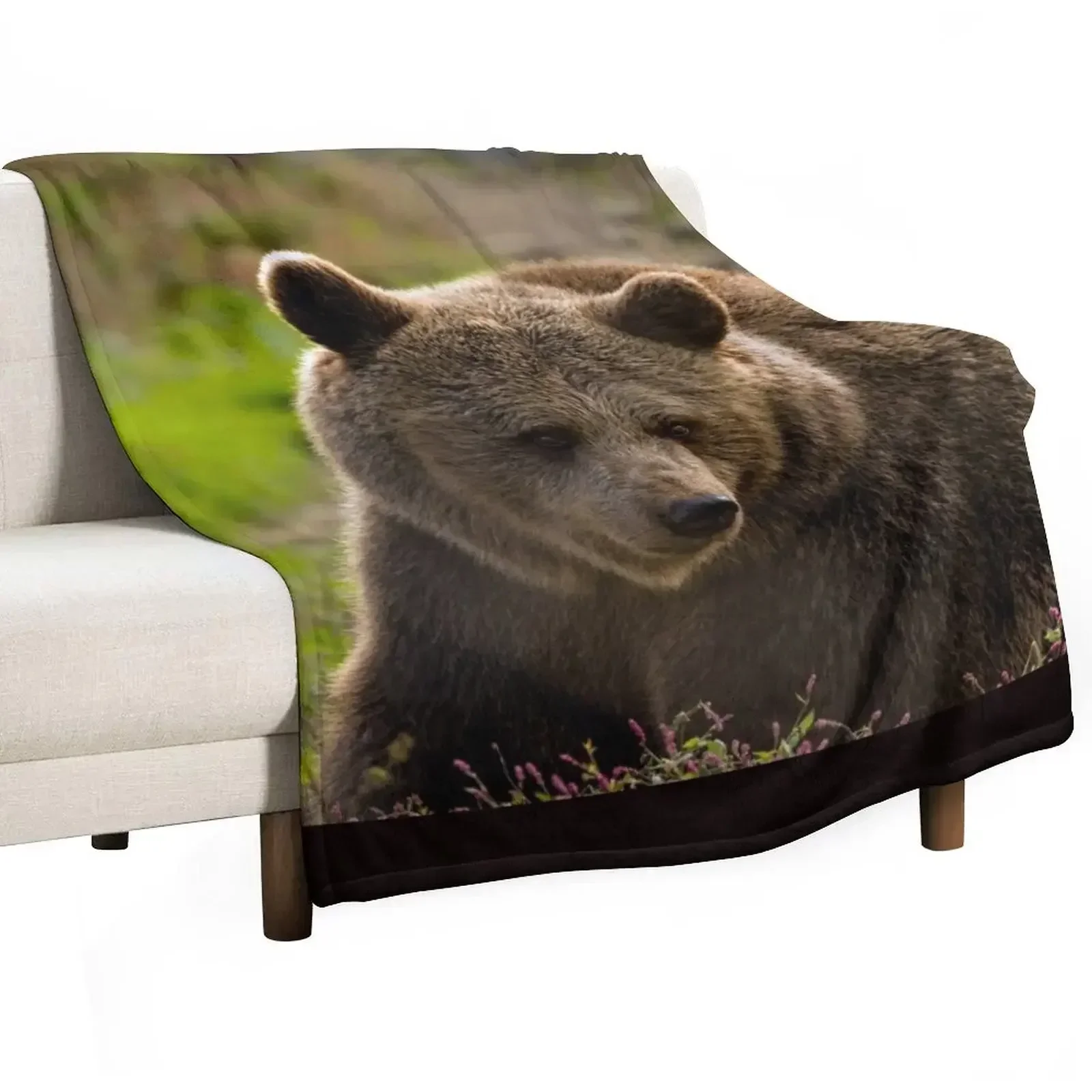 

Beautiful grizzly bear Throw Blanket Sofa Throw Sofas Decoratives Blankets