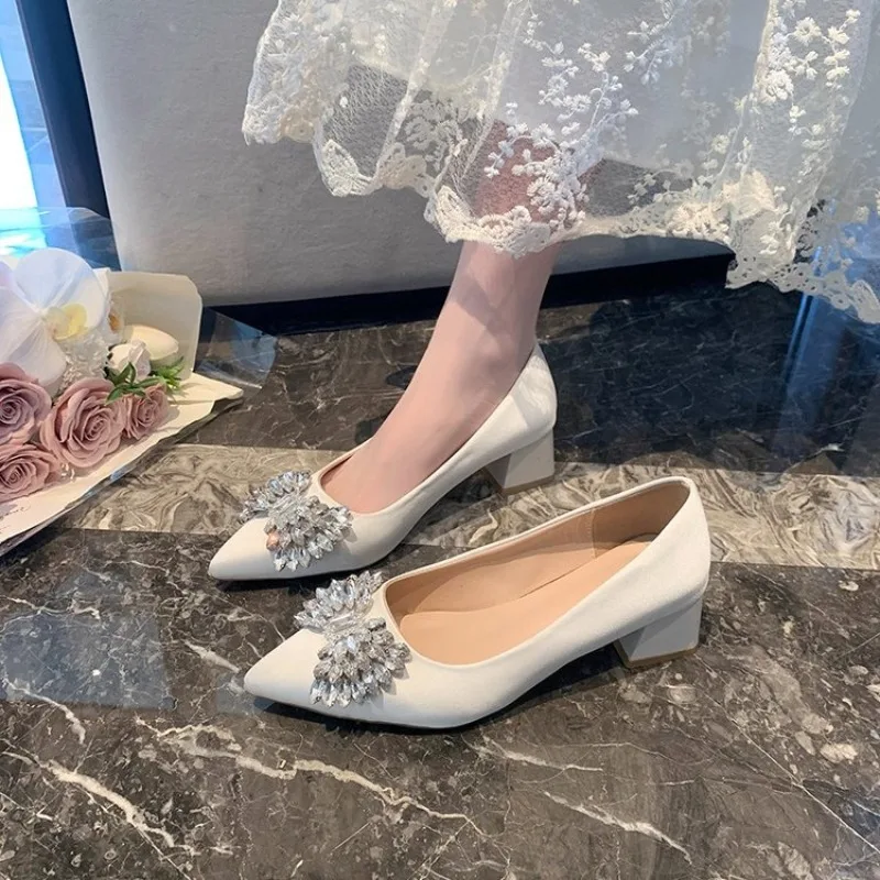 2026 Spring Autumn Black Suede Women's Shoes Pointed Toe Rhinestone Bow Buckle Strap Wedges Heels 3cm Shallow Mouth Ladies Shoes view 2