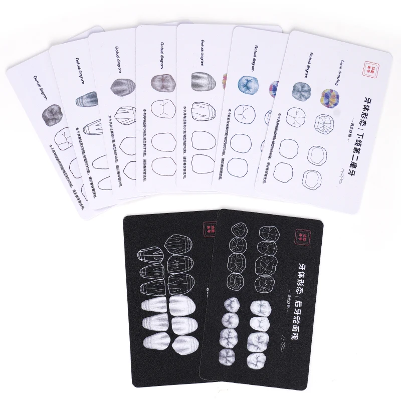 9pcs Dental Composite Resin Filling Practice Anatomical Teeth Morphology Model Study Boards Dental Teaching Model Study Board