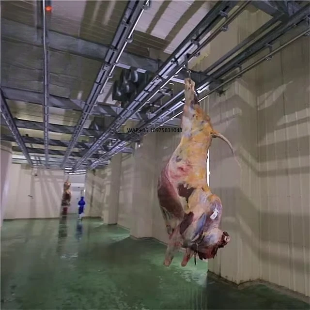 Industrial Beef Processing Equipment