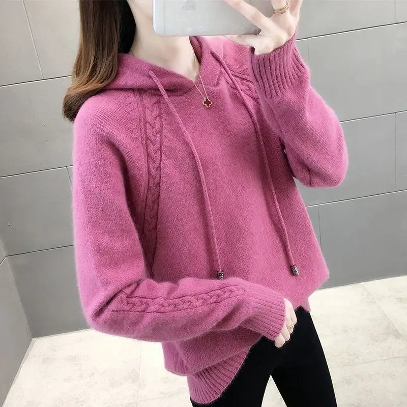 2023 New Autumn Winter Women Casual Streetwear Hooded Sweater Female Long Sleeve Loose Pullover Knitted Hoodies Outewear Jumpers