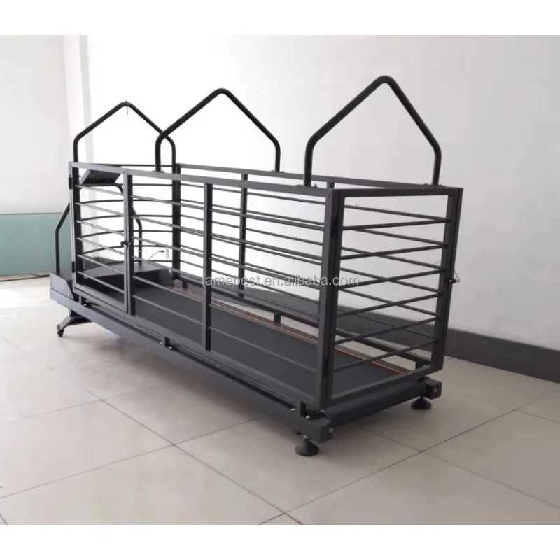 Cinta de correr para perros y mascotas, máquina de entrenamiento para correr con LCD, cinta de correr interior, juguete deportivo para mascotas