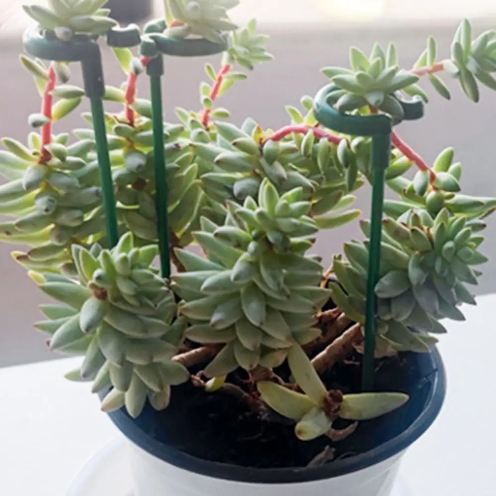 10개입 지지대 식물 지지대 말뚝 17/27/37cm 흔들림 방지 분재 고정 도구 3mm 내구성 꽃 덩굴 등반 브래킷