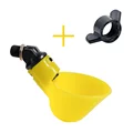 Bird Bowl and screw