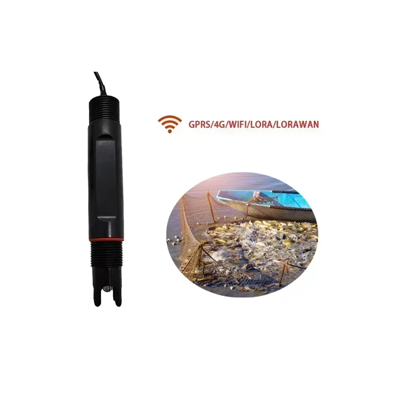 

Small Size Long Life Replacement Electrode Probe Lorawan Digital Water Ph Sensors For Aquaculture