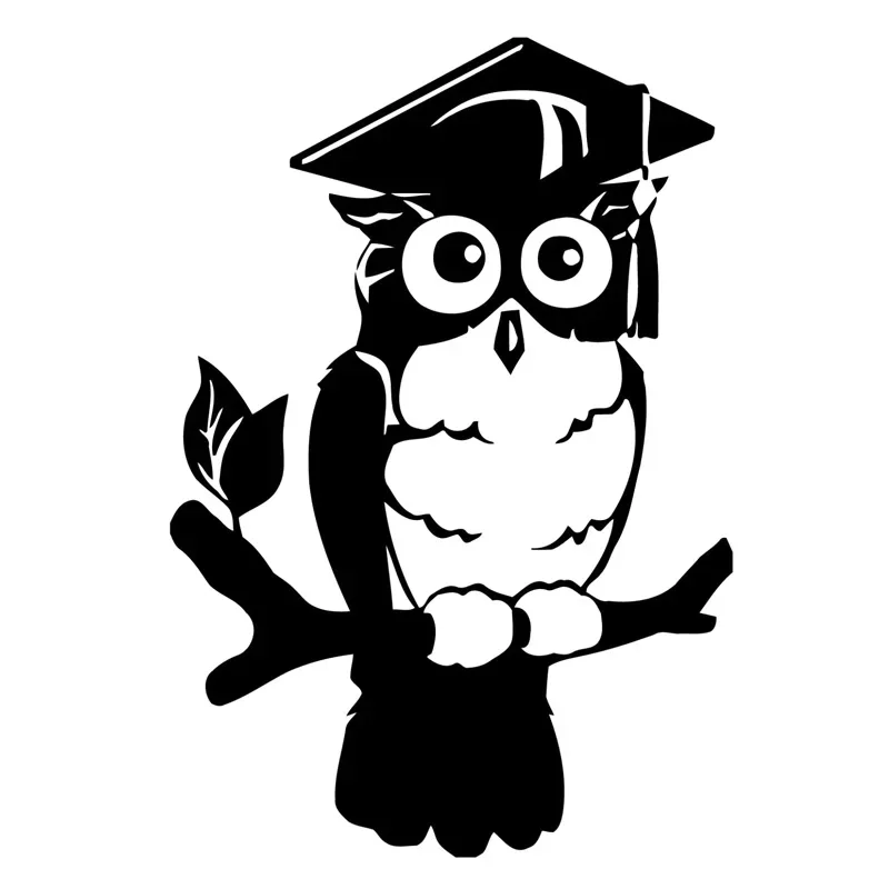 

Owl Bird Cartoon Car Decals High Quality Car Window Decoration Personality Pvc Waterproof Decals Black/white, 17cm*11cm